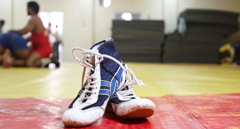 New Jersey youth wrestling coach â NCAA's first openly gay wrestler â sentenced to prison for distributing child porn